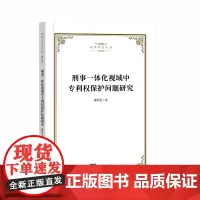正版 刑事一体化视域中专利权保护问题研究 唐风玉 著 知识产权出版社 9787513088541