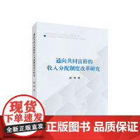 通向共同富裕的收入分配制度改革研究 陈婷著 人民出版社