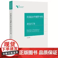 民商法学视野中的决议行为 王雷著 法律出版社 法律出版社