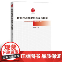 正版 数据权利保护的模式与机制 余圣琪 著 知识产权出版社 9787513084888