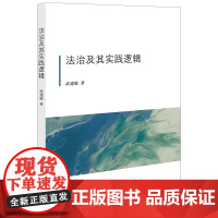 正版 法治及其实践逻辑 武建敏 著 法律出版社 9787519768478