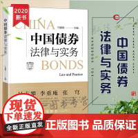 正版 中国债券法律与实务 于绪刚 法律出版社