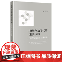 2025新书 积极刑法时代的重要议题 立法与司法之双重考察 敦宁 著 法律出版社 cy