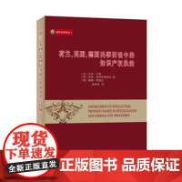 正版, 荷兰、英国、德国民事诉讼中的知识产权执法 乔治卡明 来亚弗罗伊登塔尔 路德贾纳尔 978710010781