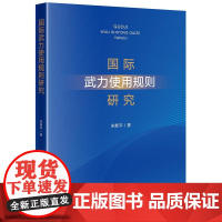 正版 国际武力使用规则研究 宋新平 著 法律出版社
