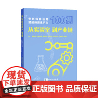 2025新书 从实验室到产业链 知识产权出版社 9787513097031