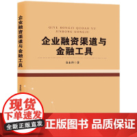 2024新书 企业融资渠道与金融工具 袁永科 著 知识产权出版社 9787513094115