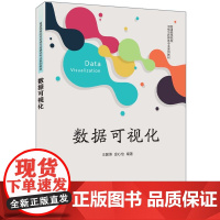 正版新书 数据可视化 王国燕 金心怡 清华大学出版社 可视化 数据可视化