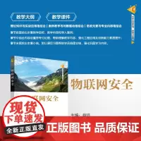 正版新书 物联网安全 肖玮 清华大学出版社 物联网 安全技术