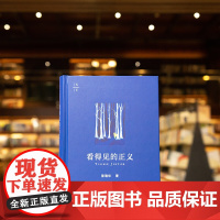 2024新书 看得见的正义 天下 陈瑞华 著 精装 法律出版社