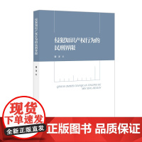 2024新书 侵犯知识产权行为的民刑界限 谭洋 著 知识产权出版社 9787513090179