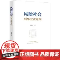 正版 风险社会刑事立法论纲 叶良芳 著 法律出版社