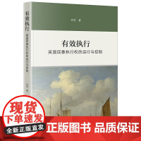 正版 有效执行 英国民事执行权的运行与控制 宫雪 著 法律出版社