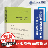 正版 中国刑法教义学的面向 经验 反思与建构 王莹 著 北京大学出版社 9787301330333