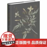 D 正版 天下 大地家族 盖瑞 施耐德 法律出版社