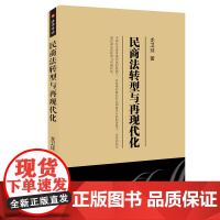 正版 民商法转型与再现代化 龙卫球 著 关于民法典的历史解释和理论解释 北京大学出版社