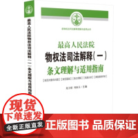 正版 人民法院物权法司法解释(一)条文理解与适用指南 龙卫球 刘保玉 9787509372920 中国法制出版社
