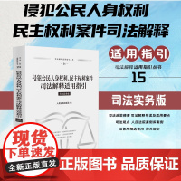 正版 侵犯公民人身权利 民主权利案件司法解释适用指引 司法实务版 人民法院出版社 9787510943027