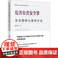 正版 危害公共安全罪罪名精释与案例百选 陈洪兵 著 法律出版社