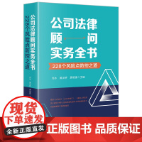 2024新书 公司法律顾问实务全书 228个风险点防控之道 刘冰 黄正桥 黄明建 典型案例解答法律风险财税政府监管融资