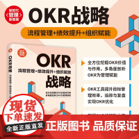 正版新书 OKR战略 流程管理+绩效提升+组织赋能 艾欧 清华大学出版社 企业管理