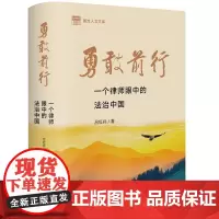 2024新书 勇敢前行 一个律师眼中的法治中国 吕红兵 著 [精装] 法律出版社