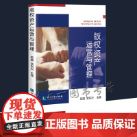 版权资产运营与管理 陈震 武东兴 知识产权出版社