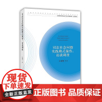 正版 司法社会问题实践模式操作:访谈调查 王慧博 知识产权出版社 社会问题 研究