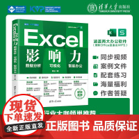 正版新书 Excel影响力 数据分析 可视化 AI办公 熊王 清华大学出版社 Excel 表处理软件
