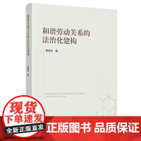 正版 和谐劳动关系的法治化建构 高建东著 人民出版社