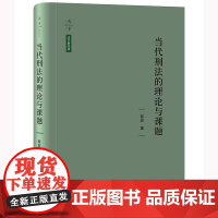 正版 当代刑法的理论与课题 黎宏 著 法律出版社