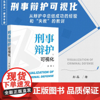 正版 刑事辩护可视化 彭磊 著 法律出版社
