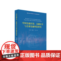 正版 中国金融开放、金融安全与全球金融风险研究 卞志村 毛泽盛 丁慧 等著 人民出版社