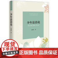 正版 少年法治论 高维俭 著 法律出版社