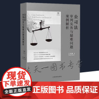公司法审判实务与疑难问题案例解析 第二版第2版 王东敏 著 人民法院出版社