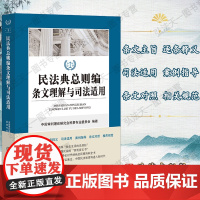 G正版 民法典总则编条文理解与司法适用 法律出版社