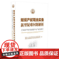 知识产权司法实务新型疑难问题解析 中国法制出版社