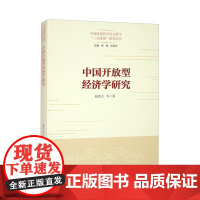 中国开放型经济学研究