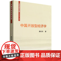 中国开放型经济学