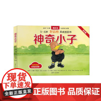 正版新书 神奇小子 新西兰 约翰·洛克尔著 新西兰 鲍勃·达罗克绘 新西兰 李若天译 清华大学出版社 儿童读物