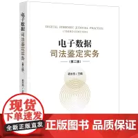 正版 电子数据司法鉴定实务 第三版3版 麦永浩 主编 法律出版社