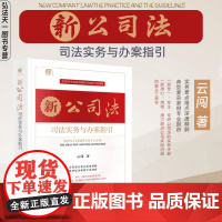 2024新书 新公司法司法实务与办案指引 云闯 著 实务要点难点深度释解 典型复杂案例专业剖析 法律出版社