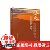 正版 阳光这样照进历史 罗海岩著 人民出版社
