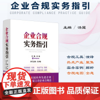 正版 企业合规实务指引 法盟 主编 孔祥俊 执行主编 中国法制出版社 9787521632699