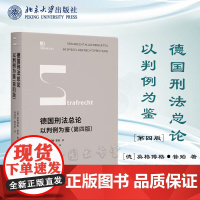2023新书 德国刑法总论 以判例为鉴 第四版4版 [德]英格博格·普珀 著 徐凌波 喻浩东 译 陈兴良作序 北京大学出
