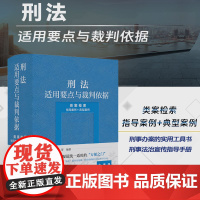 正版 刑法适用要点与裁判依据(类案检索 指导案例+典型案例) 郝银钟 罗书平 等 编著 法律出版社