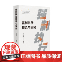 正版 强制执行理论与实务 施付阳 编著 人民法院出版社 9787510938634