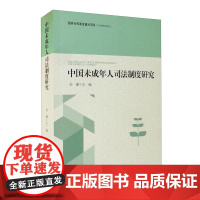正版 中国未成年人司法制度研究 孙谦 主编 中国检察出版社 9787510226007