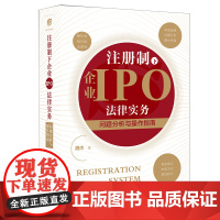 注册制下企业IPO法律实务 问题分析与操作指南 魏杰 法律出版社
