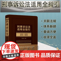 刑事诉讼法适用全指引 王迎龙 主编 中国法制出版社
